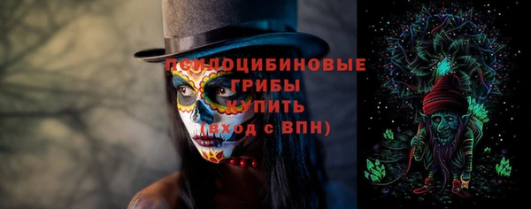 прущий лед Богородск